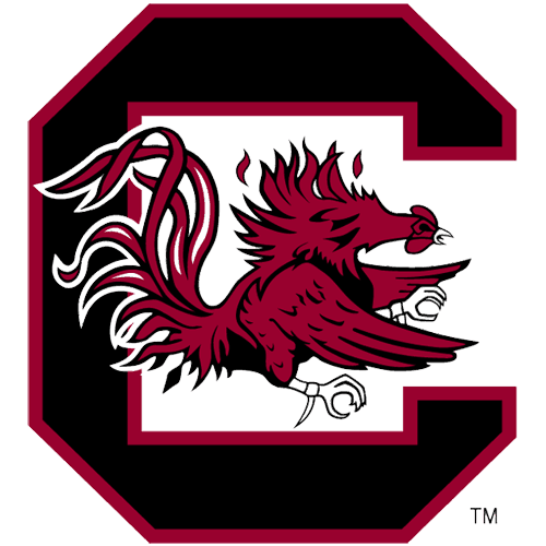 South Carolina Gamecocks